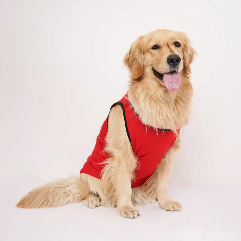 Skatrs Royal Cuddly Buddies Cricket Jersey for Dogs and Cats (Red) - Image 8