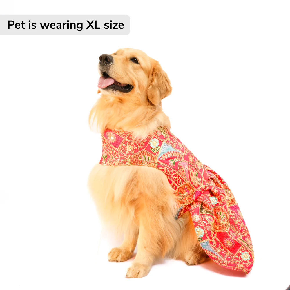 Skatrs Royale Lehenga for cats and dogs (Pink) - Image 4