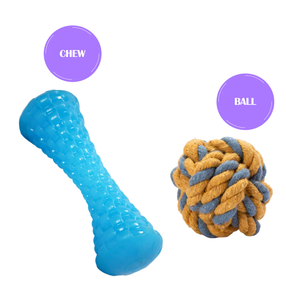 Skatrs Latex Dumbell Toy for Dogs (Blue) - Image 4