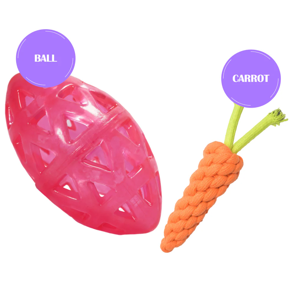 Skatrs Rugby Ball Toy for Dogs | Durable, Non-Toxic & Soft Chewing, Training & Bouncing Pet Toy - Image 4