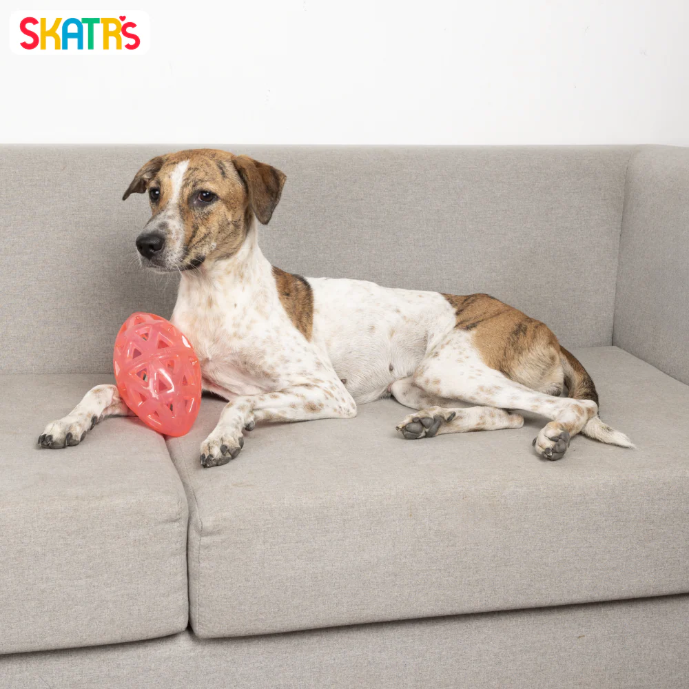 Skatrs Rugby Ball Toy for Dogs | Durable, Non-Toxic & Soft Chewing, Training & Bouncing Pet Toy - Image 4