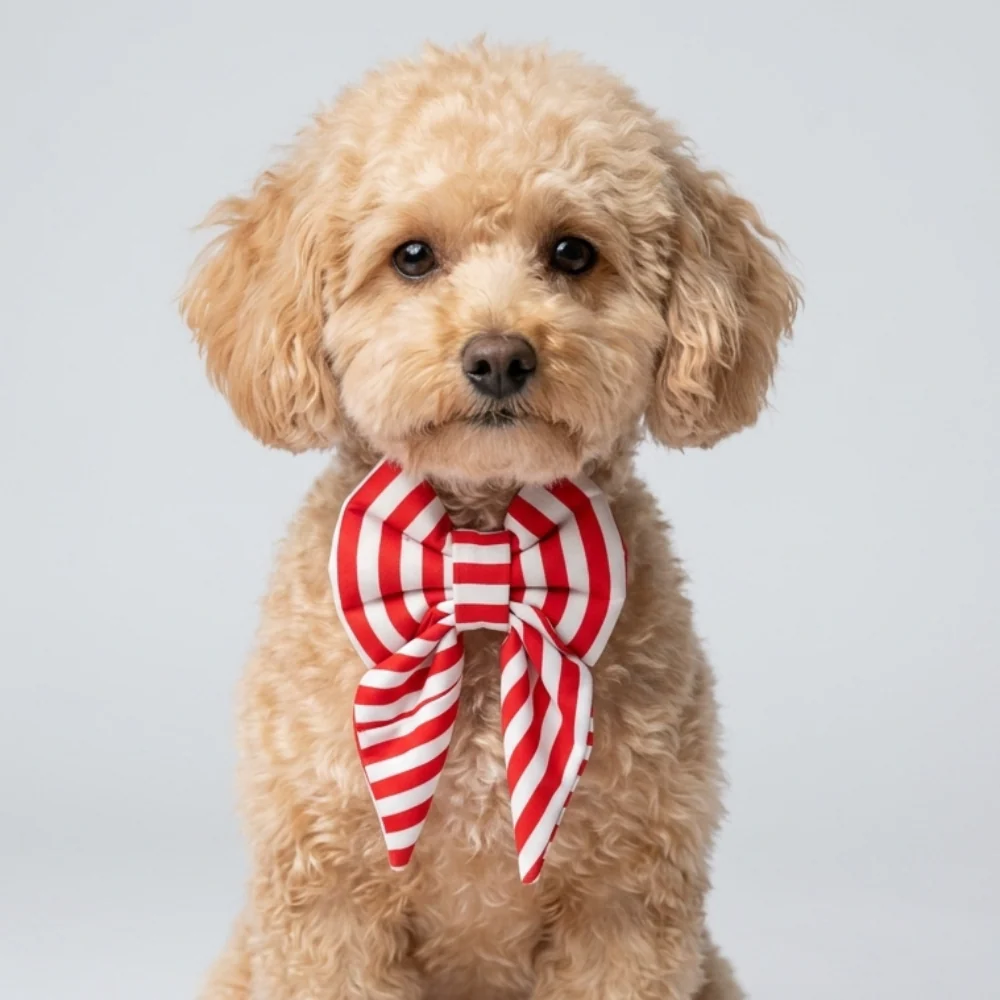 Skatrs Sailor bowtie for Dogs and Cats - Image 4