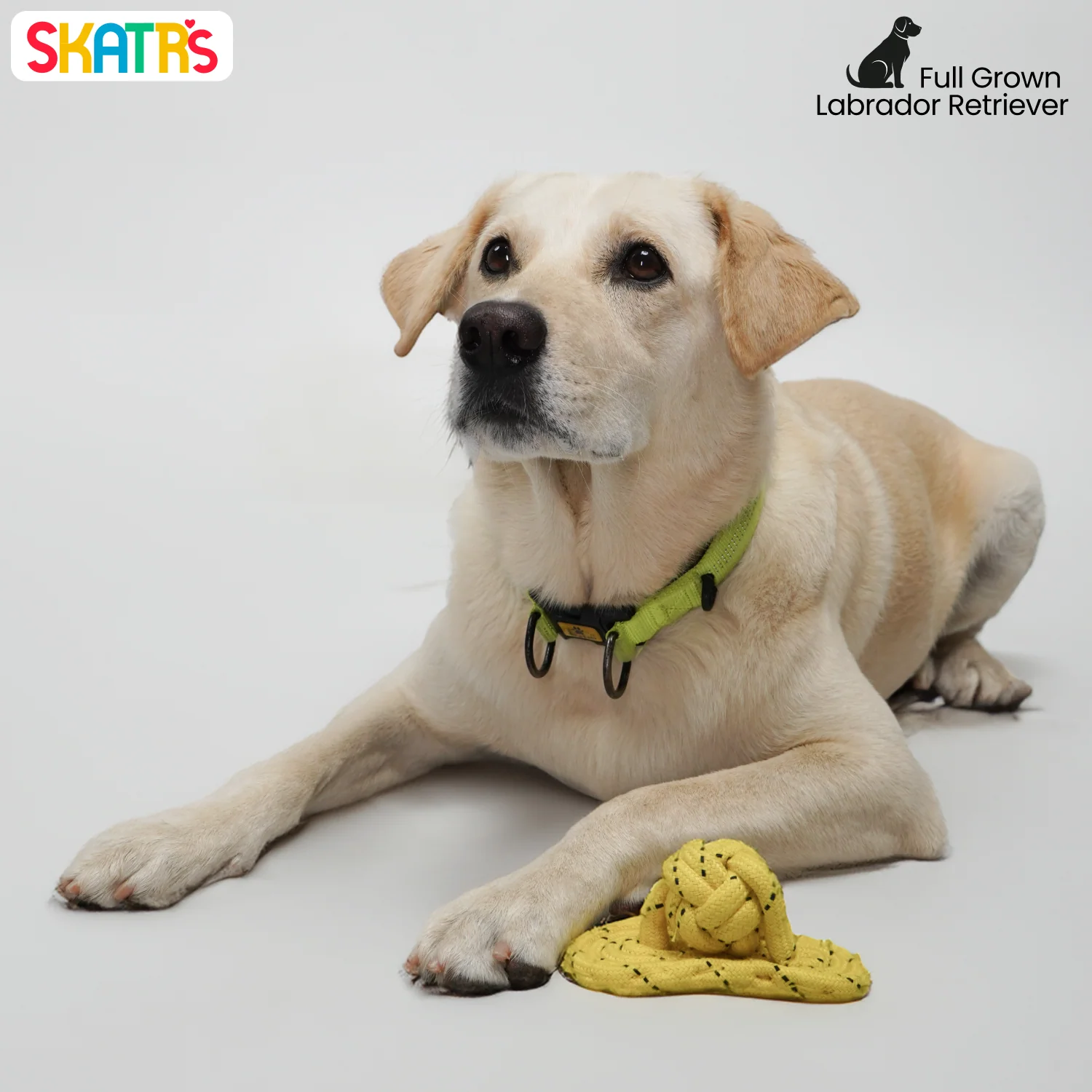 Skatrs Sandal Shaped Hand Made, Durable Rope Chew Toy for Dogs & Cats (Light Yellow) - Image 4