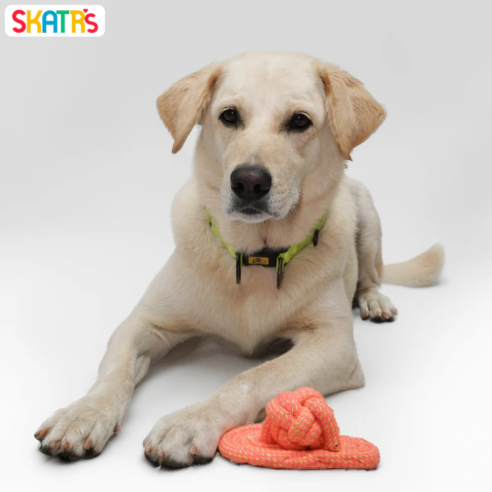 Skatrs Sandal Shaped Hand Made, Durable Rope Chew Toy for Dogs & Cats (Orange) - Image 4