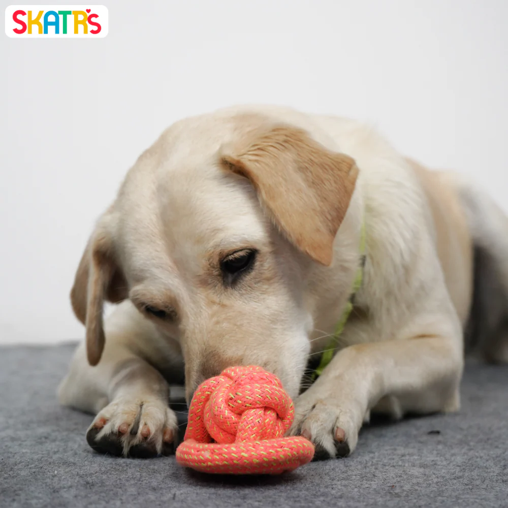 Skatrs Sandal Shaped Hand Made, Durable Rope Chew Toy for Dogs & Cats (Orange) - Image 4