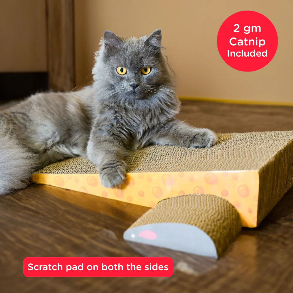 Skatrs Say Cheese Corrugated Cardboard Scratcher Pad Toy with Catnip for Cats (Length 41cm) - Image 2