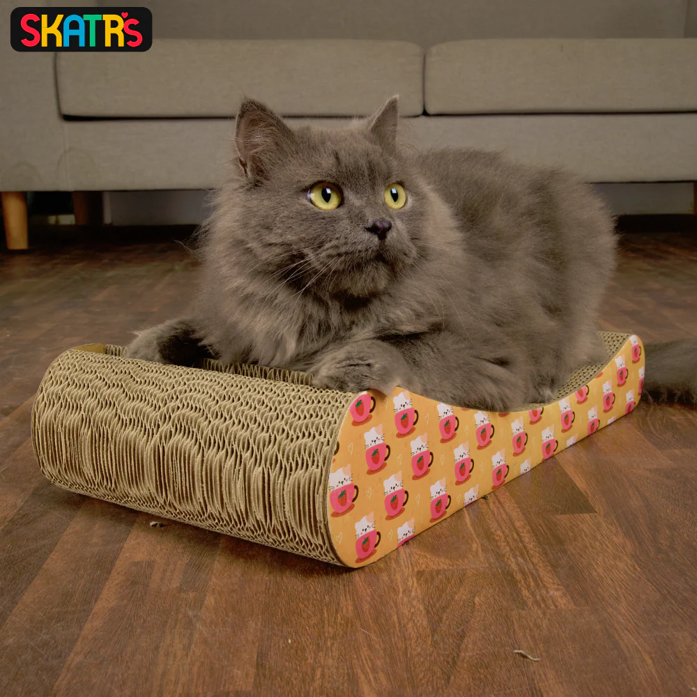Skatrs Scratch Me Maybe Cat Scratcher with 2g Premium Catnip Free - Image 6