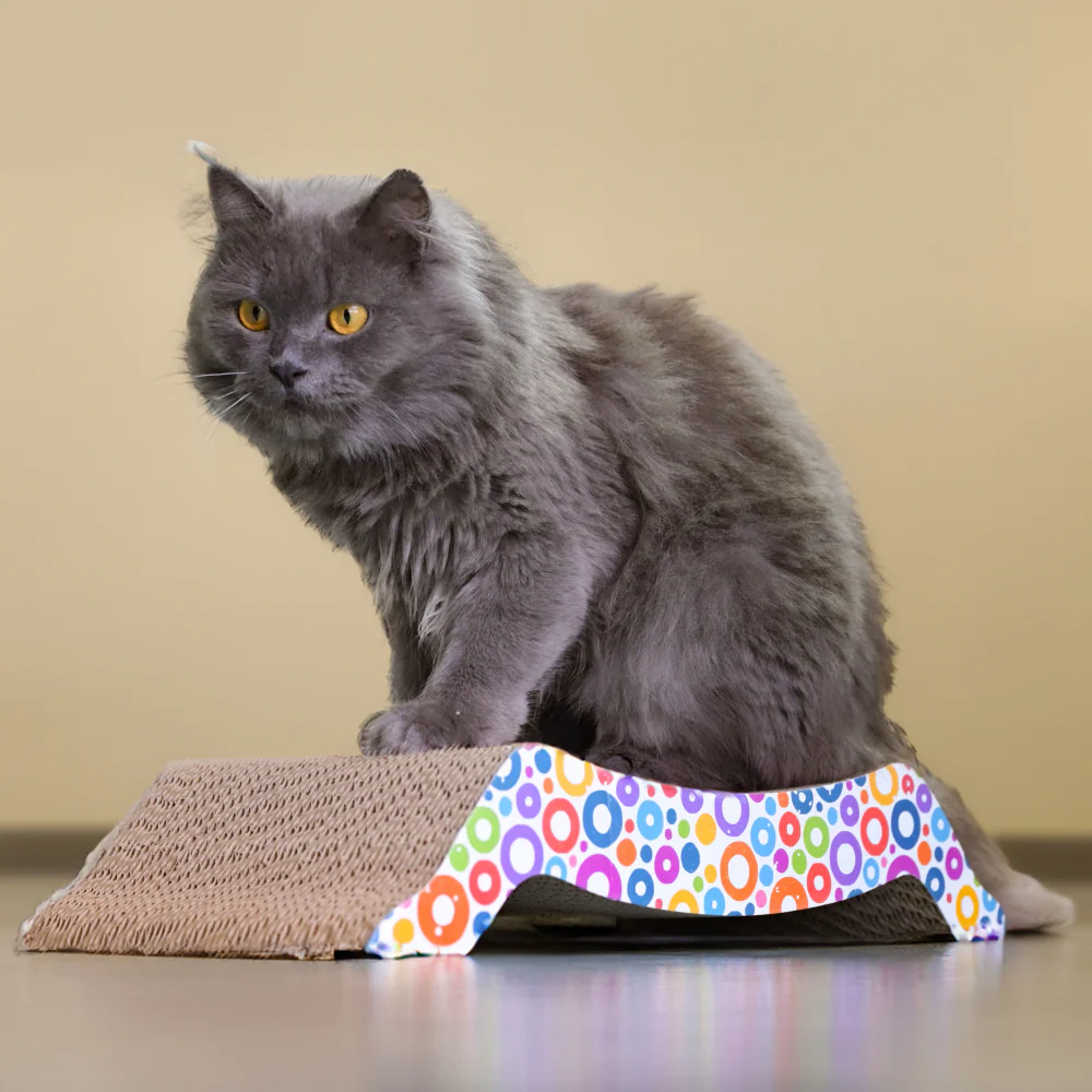 Skatrs Scratchy Wonderland Jumbo Multi Level Cat Tree with Sisal Posts Toy and Whisker Wonder Cat Scratcher with 2g Premium Catnip Combo - Image 7