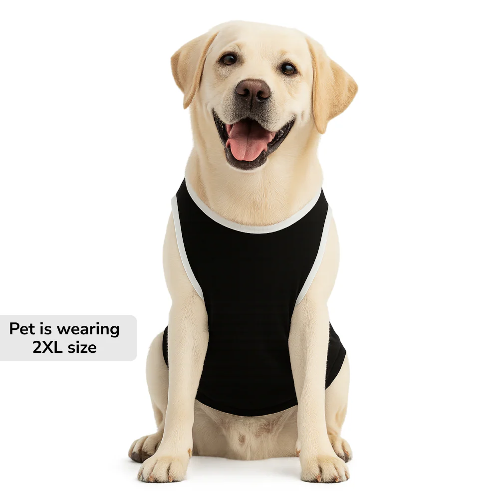 Skatrs Sleeping Panda Cotton T shirt for Dogs and Cats - Image 7