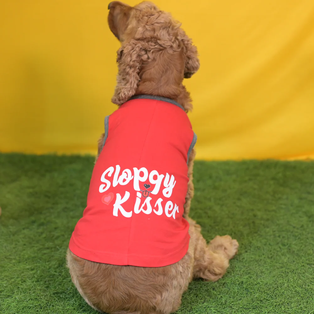 Skatrs Sloppy Kisser Printed Summer Cotton T Shirt for Dogs and Cats (Red) - Image 2