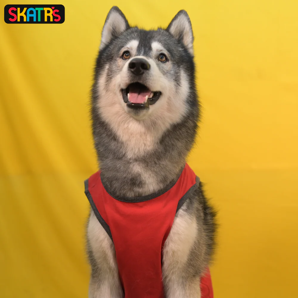 Skatrs Sloppy Kisser Printed Summer Cotton T Shirt for Dogs and Cats (Red) - Image 4