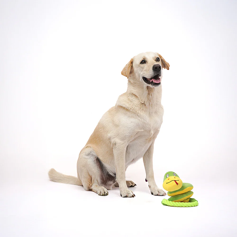 Skatrs Snake Plush Toy with Rope for Dogs - Image 5
