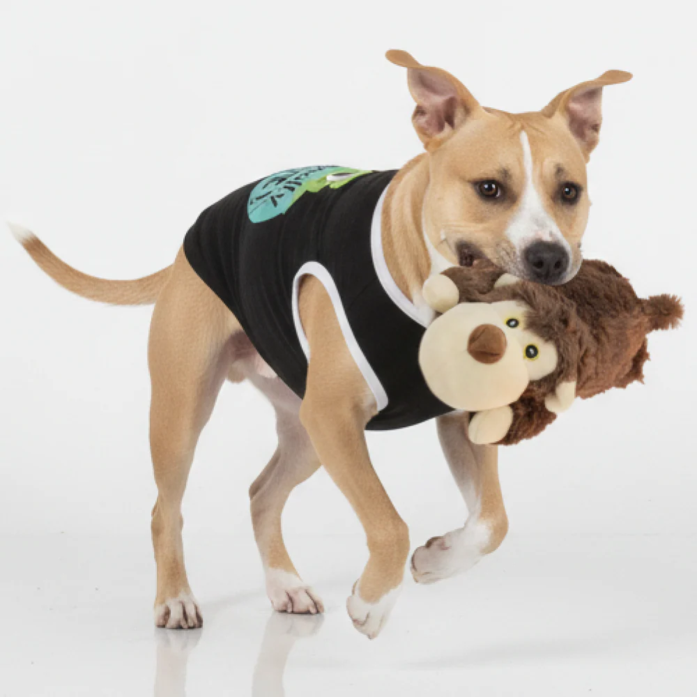 Skatrs Soft Bear Plush Snuggle Toy for Dogs - Image 3