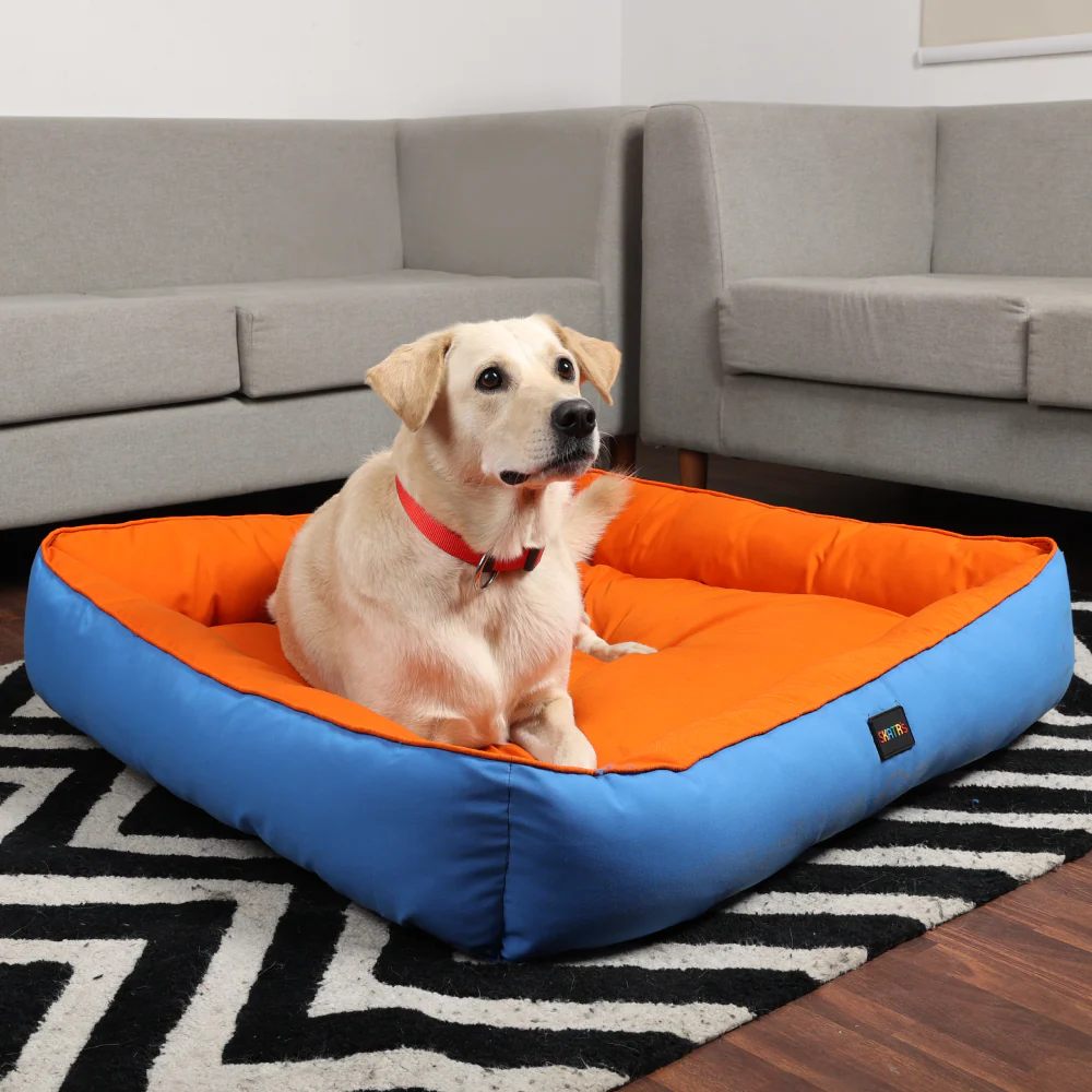 Skatrs Square Shaped Bed for Dogs & Cats (Orange & Blue) - Image 4