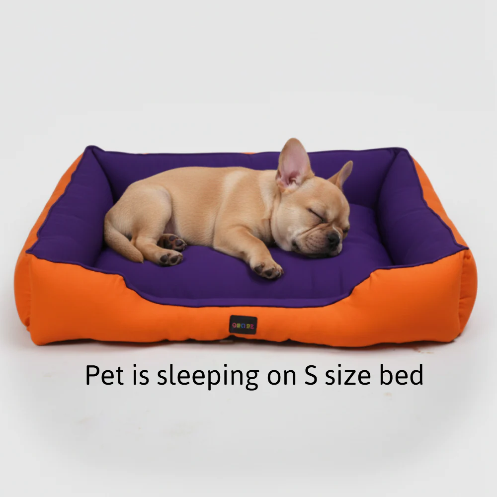 Skatrs Square Shaped Bed for Dogs & Cats (Orange/Purple) - Image 3
