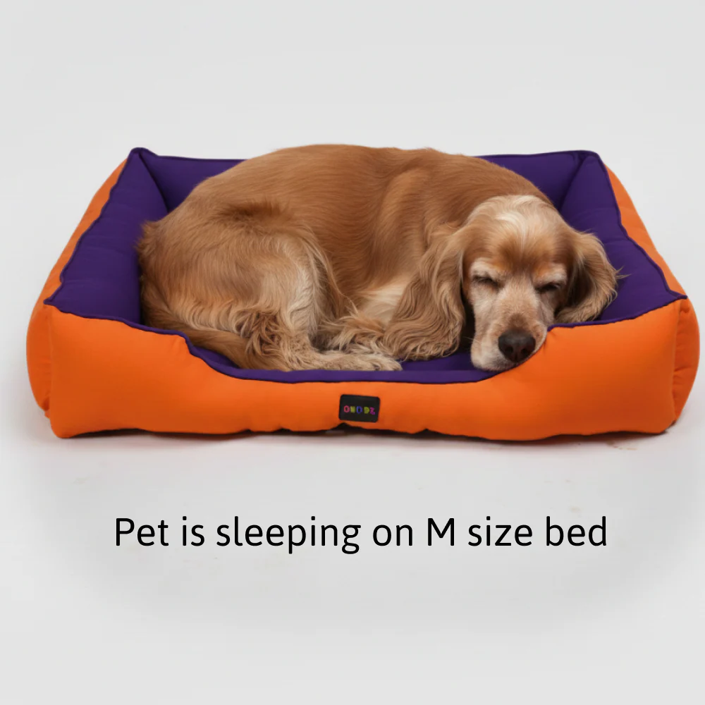 Skatrs Square Shaped Bed for Dogs & Cats (Orange/Purple) - Image 4