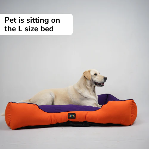 Skatrs Square Shaped Bed for Dogs & Cats (Orange/Purple) - Image 5