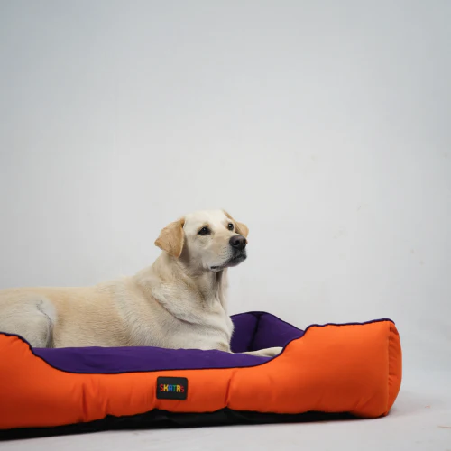 Skatrs Square Shaped Bed for Dogs & Cats (Orange/Purple) - Image 7