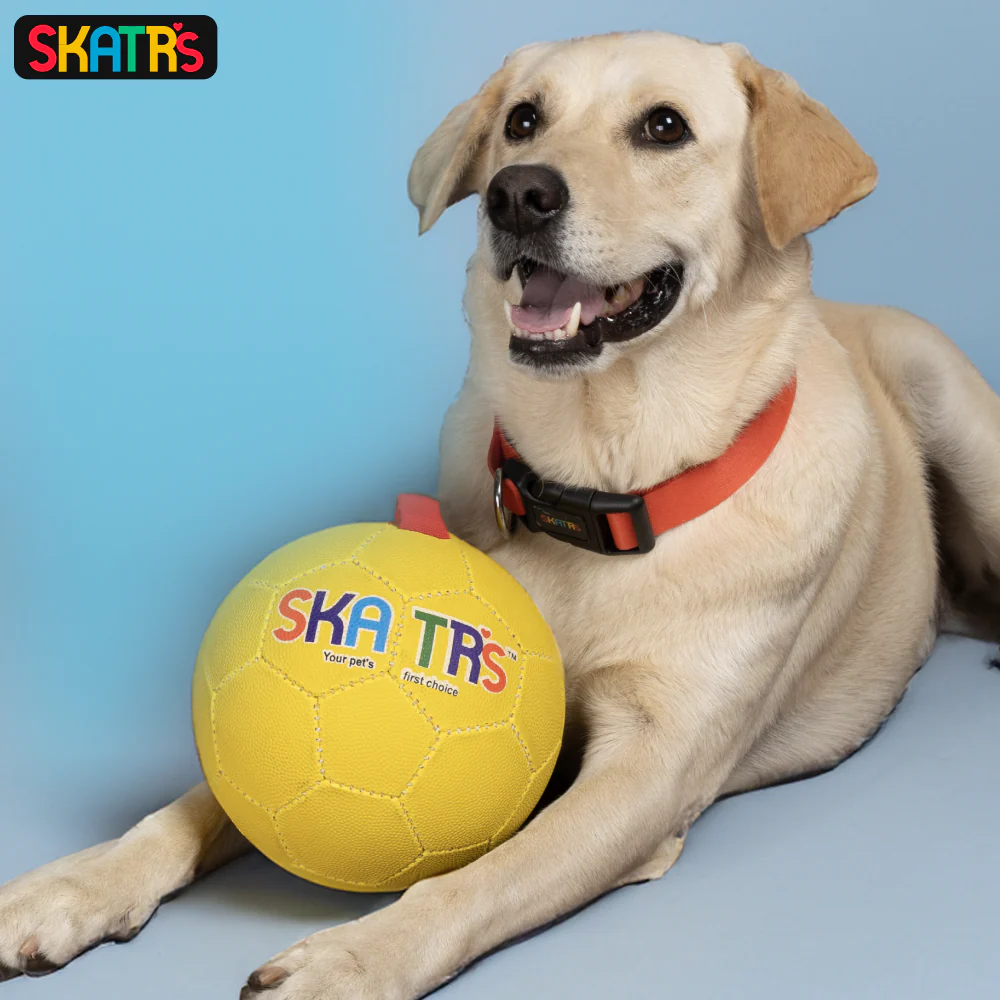 Skatrs Football Training Ball Toy With Holding Loops for Dogs | For Aggresive Chewers | Medium and Large Breeds - Image 4