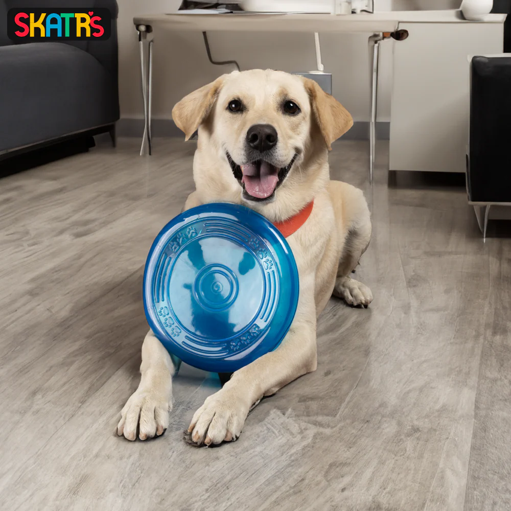 Skatrs Super Flyer Frisbee Toy for Dogs (Blue) - Image 3