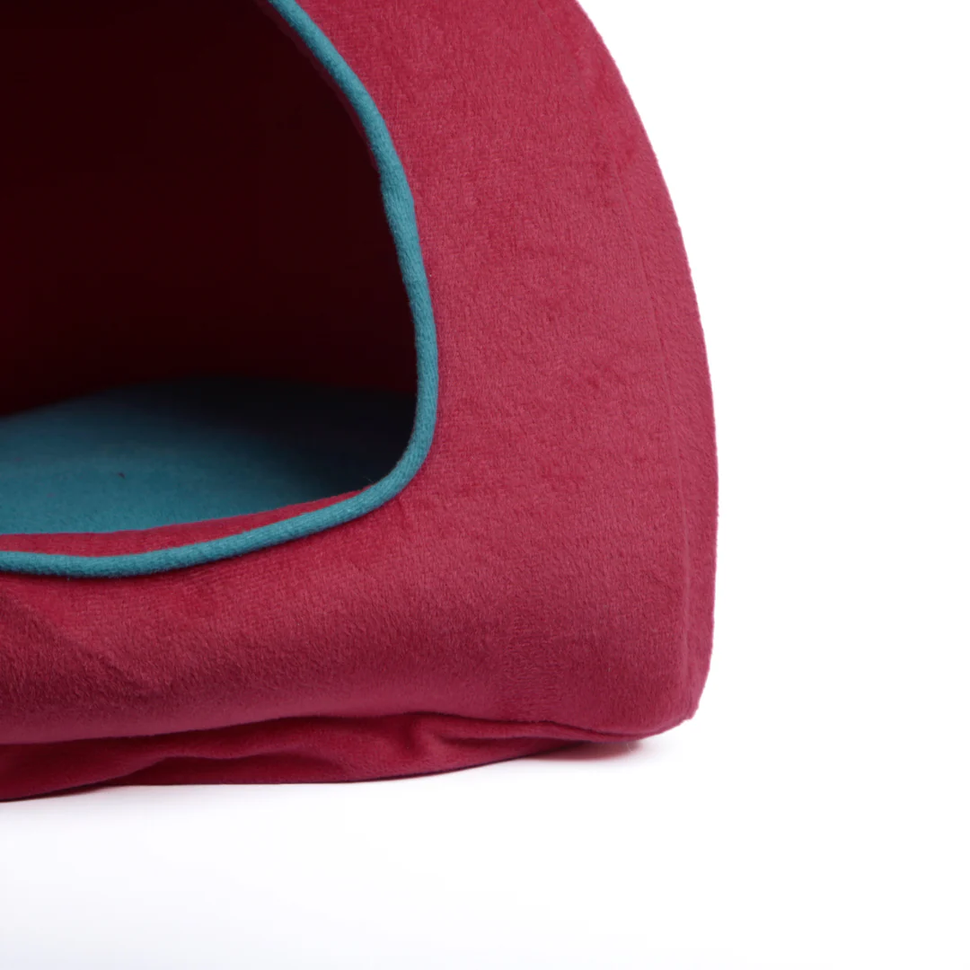 Skatrs Cozy House for Cats, Kittens and Small Dogs (Red and Teal Blue) - Image 4
