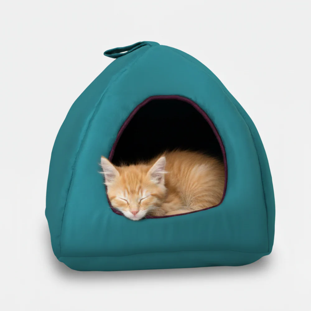 Skatrs Cozy House for Cats, Kittens and Small Dogs (Teal Blue and Purple) - Image 3