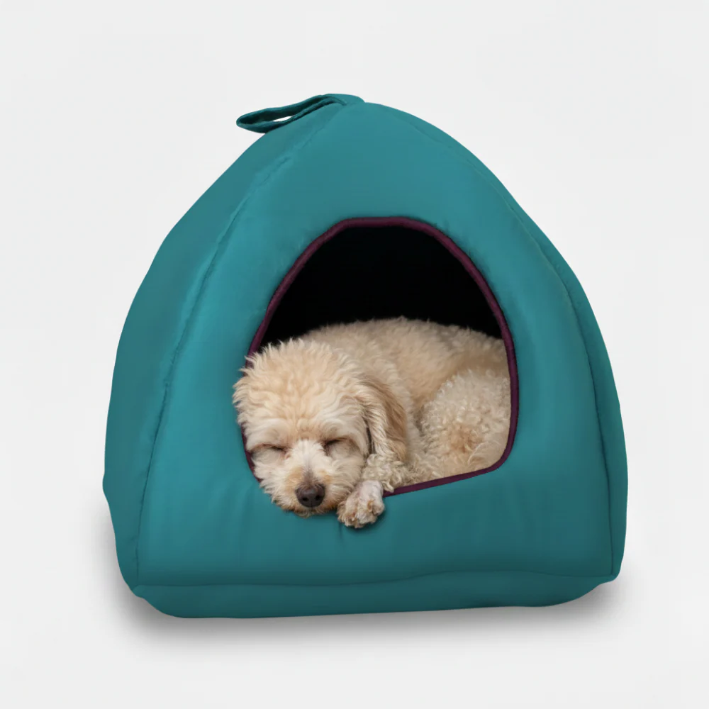 Skatrs Cozy House for Cats, Kittens and Small Dogs (Teal Blue and Purple) - Image 5