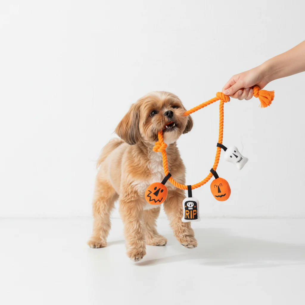Skatrs Trick or Tug Rope Toy for Dogs - Image 3