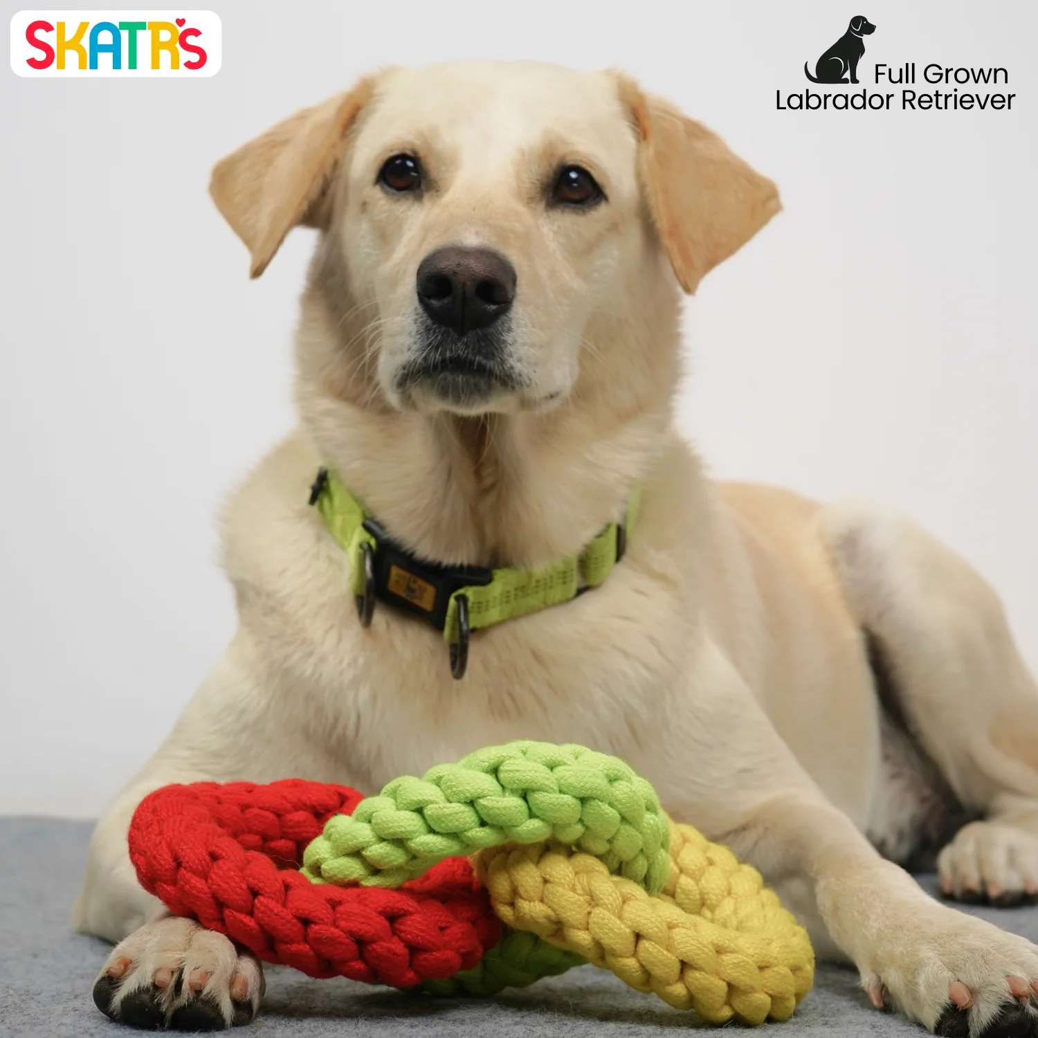 Skatrs Triple Ring Rope Chew Toy for Dogs and Cats (Neon Green/Red/Yellow) - Image 4