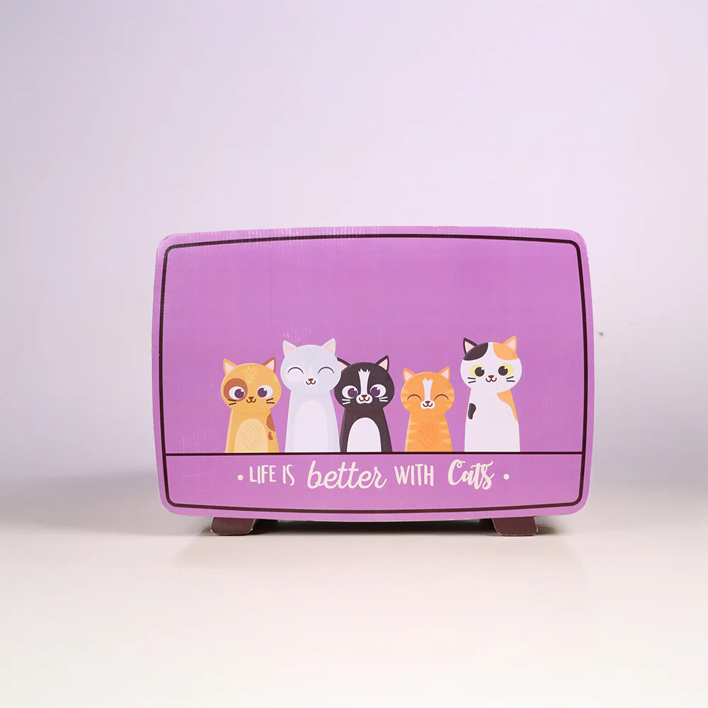 Skatrs TV Scratcher Toy for Cats - Image 6