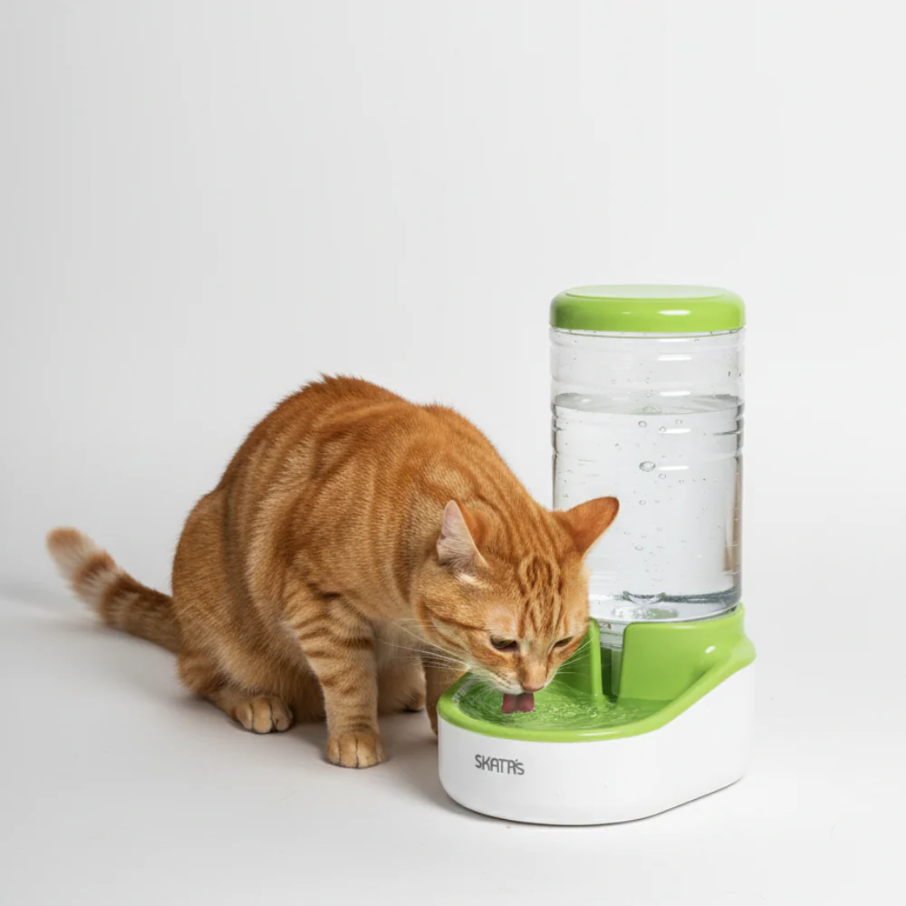 Skatrs Water Dispenser for Dogs and Cats - Image 4