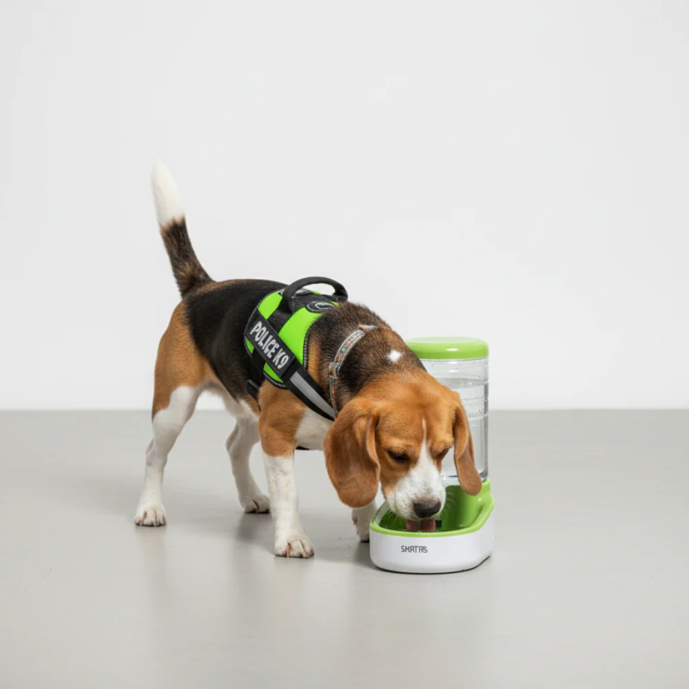 Skatrs Water Dispenser for Dogs and Cats - Image 5
