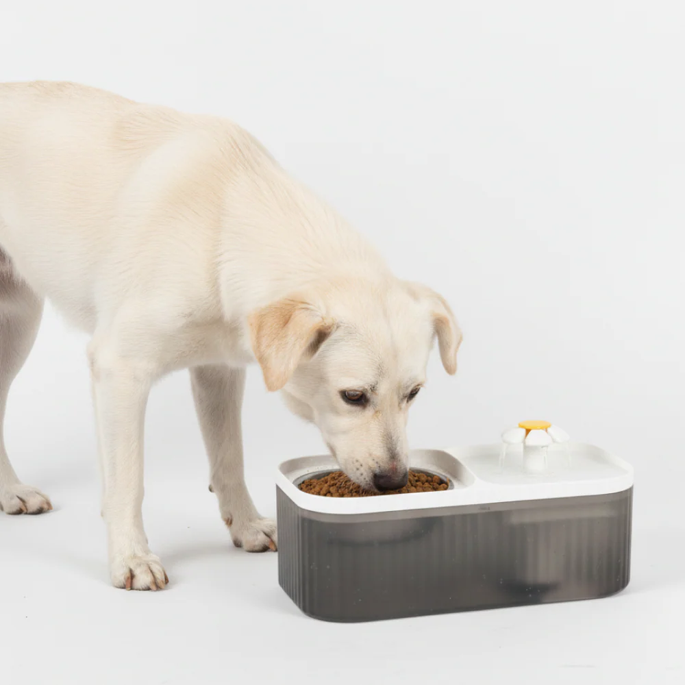 Skatrs Water Fountain with Food Bowl & Adapter for Dogs and Cats (Grey/White) - Image 6