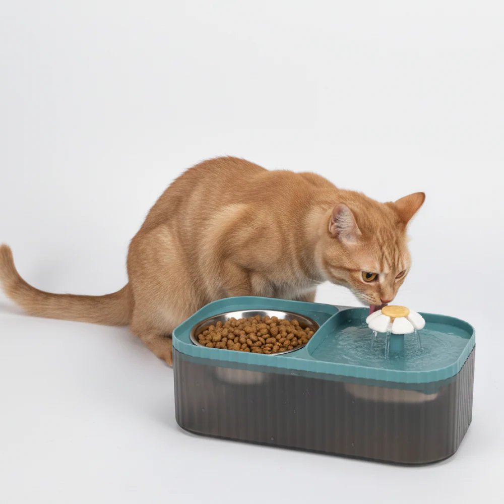 Skatrs Water Fountain with Food Bowl & Adapter for Dogs and Cats (Blue) - Image 4