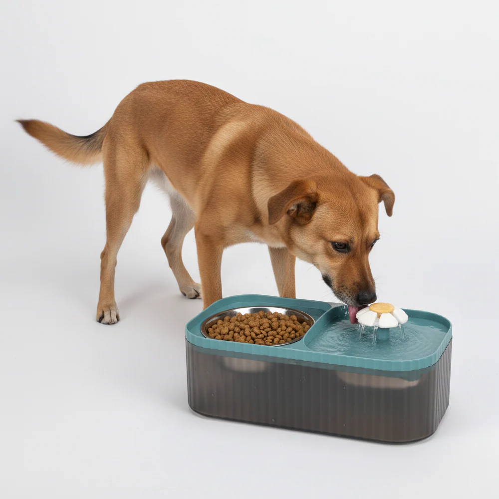 Skatrs Water Fountain with Food Bowl & Adapter for Dogs and Cats (Blue) - Image 5