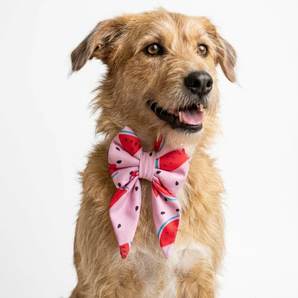 Skatrs Watermelon bowtie for Dogs and Cats - Image 4