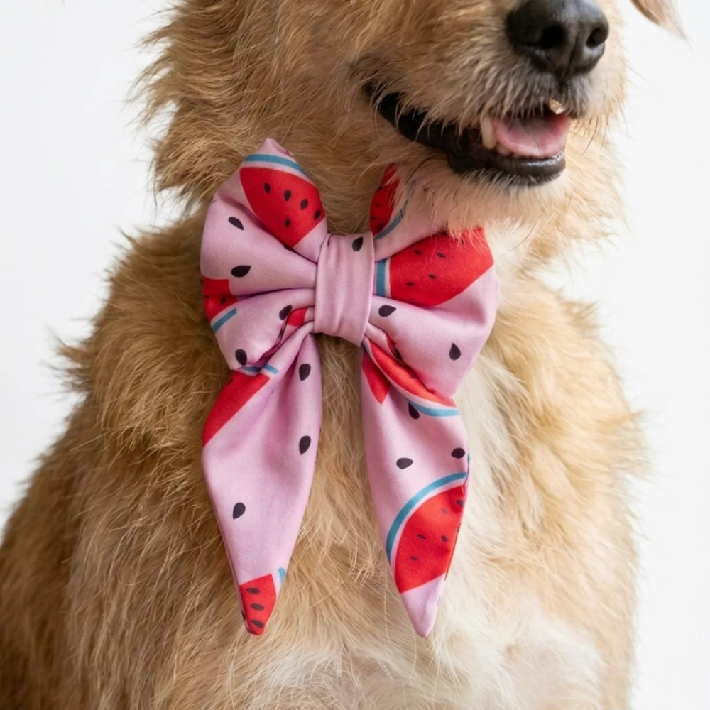 Skatrs Watermelon bowtie for Dogs and Cats - Image 5
