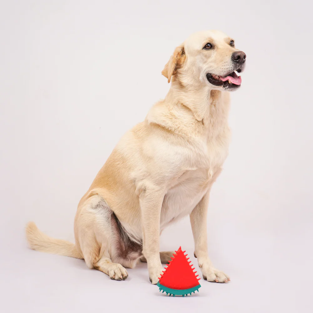 Skatrs Watermelon Shaped Ice Cooling Toy for Dogs & Cats (Green/Red) - Image 3
