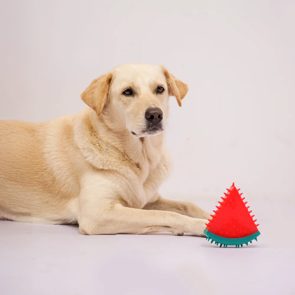 Skatrs Watermelon Shaped Ice Cooling Toy for Dogs & Cats (Green/Red) - Image 4