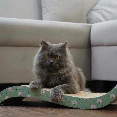 Skatrs Wave Cat Scratcher with Catnip & Yellow Rubber Ball Toy Cat Combo - Image 4