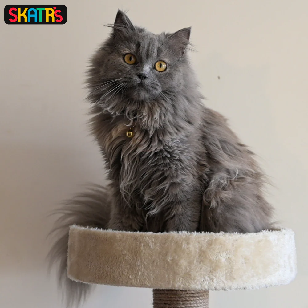 Skatrs Scratchy Wonderland Jumbo Multi Level Cat Tree with Sisal Posts Toy (Beige) - Image 5