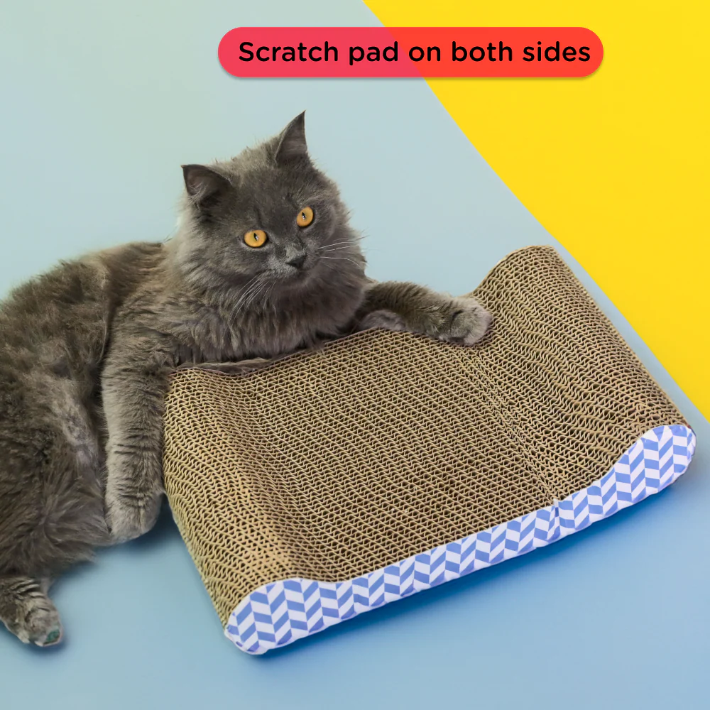 Skatrs Paw Lounge Cat Scratcher with Premium Catnip and Claw Tower Cat Tree with Hammock and Dual Scratching Post Toy Combo - Image 2