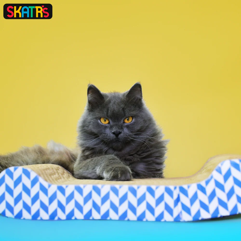 Skatrs Paw Lounge Cat Scratcher with Premium Catnip and Claw Tower Cat Tree with Hammock and Dual Scratching Post Toy Combo - Image 5