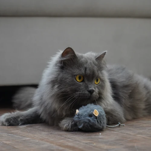 Skatrs Wiggle Mouse Toy for Cats (Grey) - Image 4