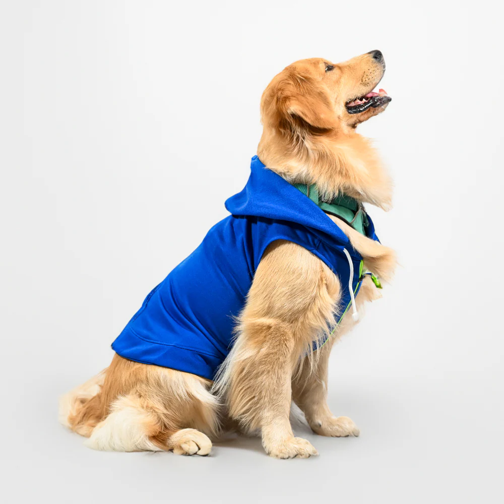 Skatrs Breezy Hoodie with Pockets for Dog and Cats (Blue) - Image 2