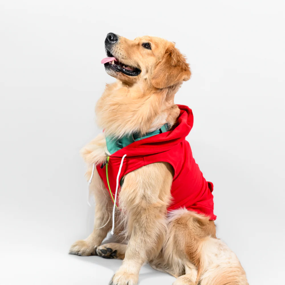 Skatrs  Breezy Hoodies with Pockets for Dog and Cats (Red) - Image 2
