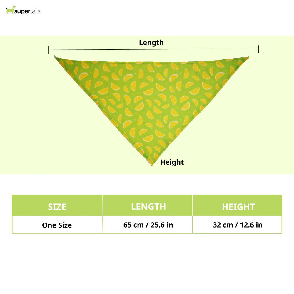 Skatrs Bandana for Dogs Perfect for Trendy Pets (Green) - Image 2