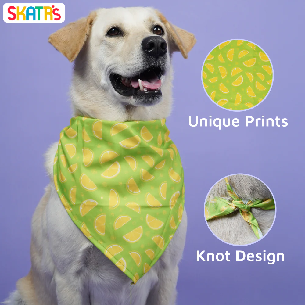 Skatrs Bandana for Dogs Perfect for Trendy Pets (Green) - Image 3