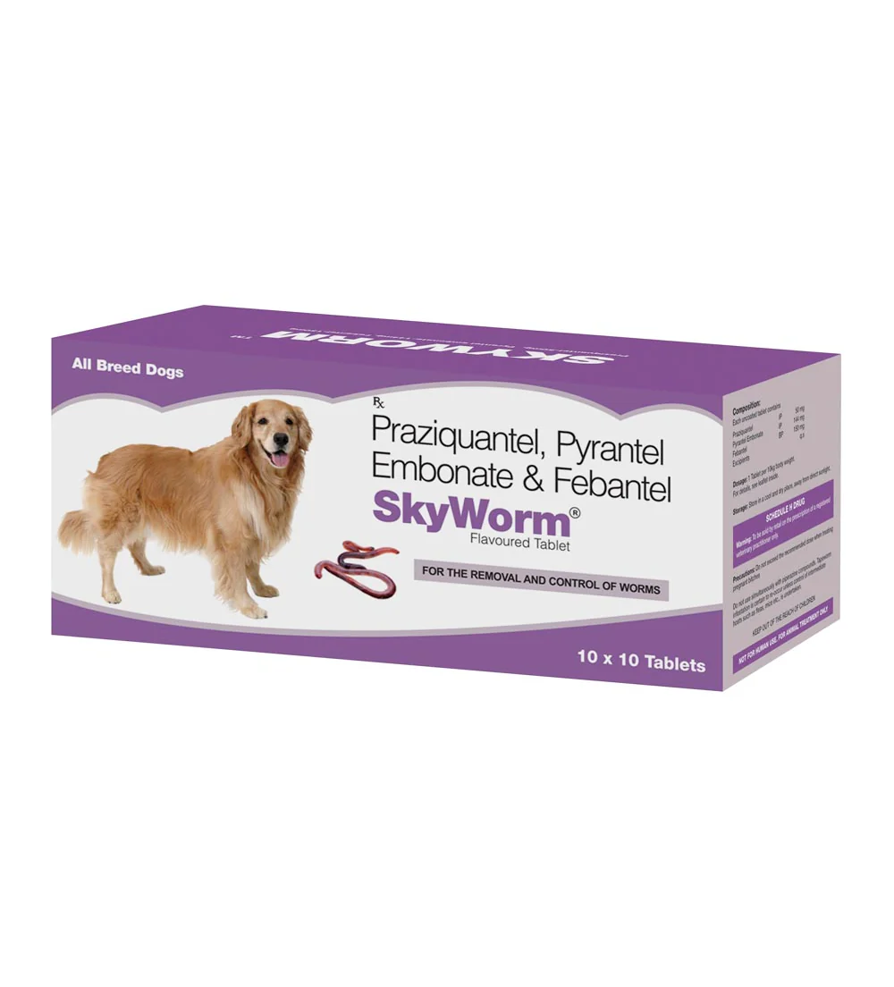 Skyec Skyworm Dog Deworming Tablet - Image 2