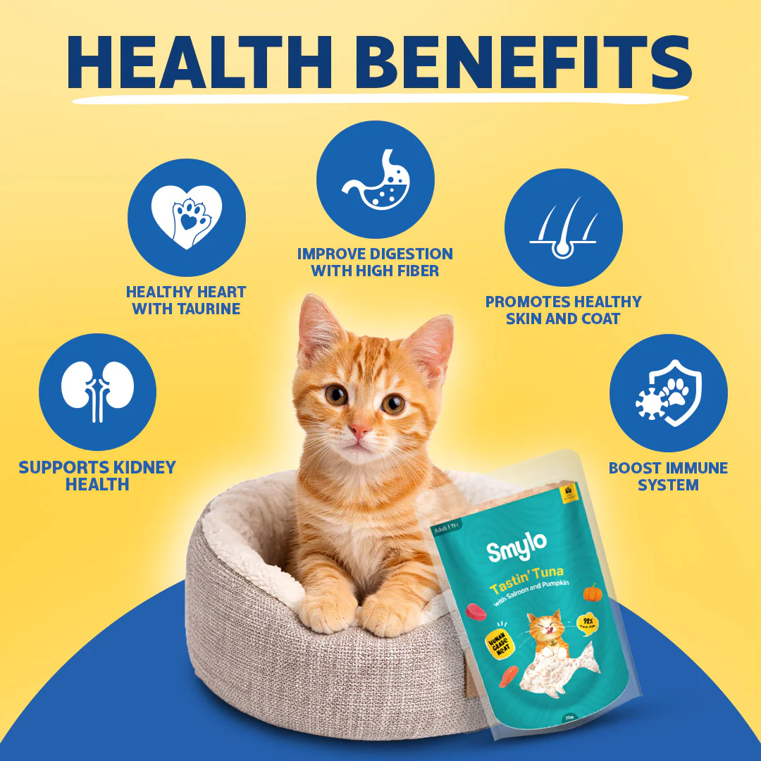 Smylo Adult Variety Combo, Tuna, Chicken & Mackerel, Fresh & No-Preservative Wet Cat Food - Image 4